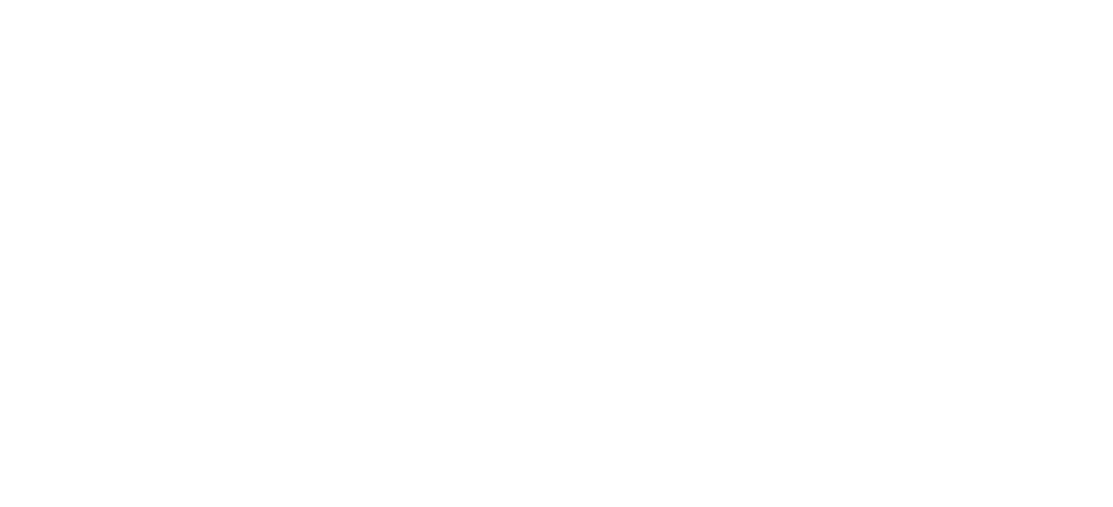 SEO Domains